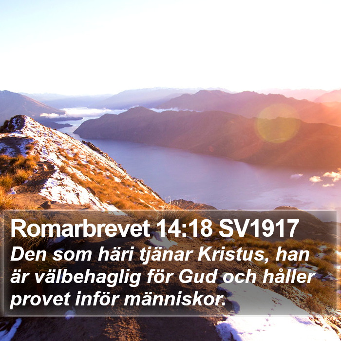 Romarbrevet 14:18 SV1917 Bible Study