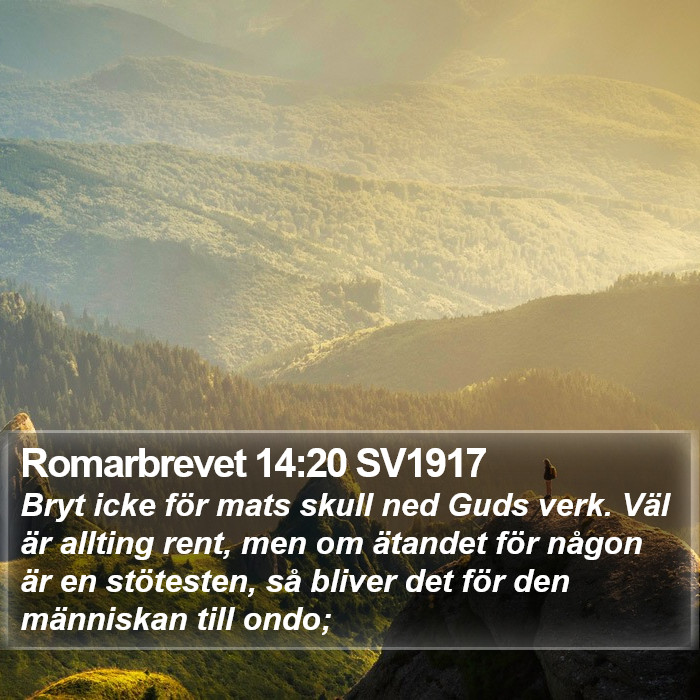 Romarbrevet 14:20 SV1917 Bible Study