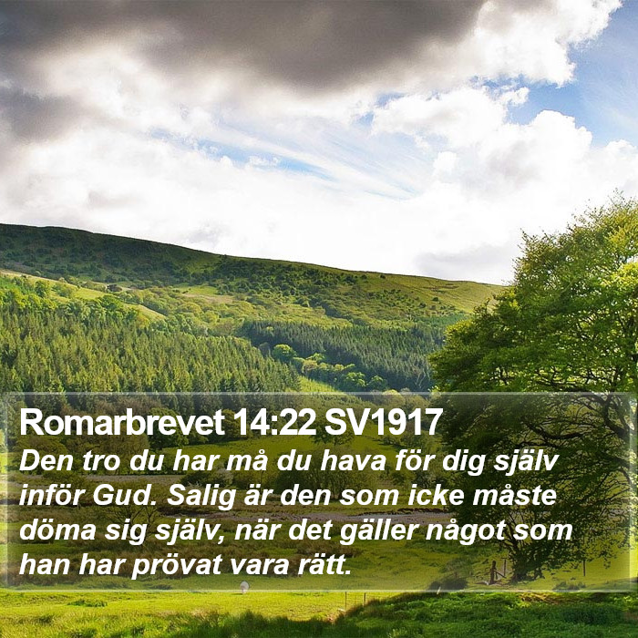 Romarbrevet 14:22 SV1917 Bible Study