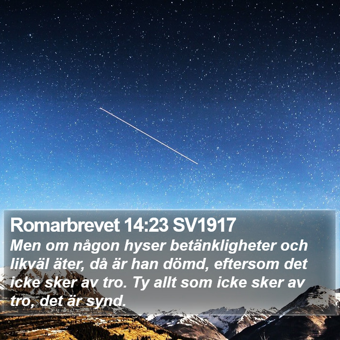 Romarbrevet 14:23 SV1917 Bible Study