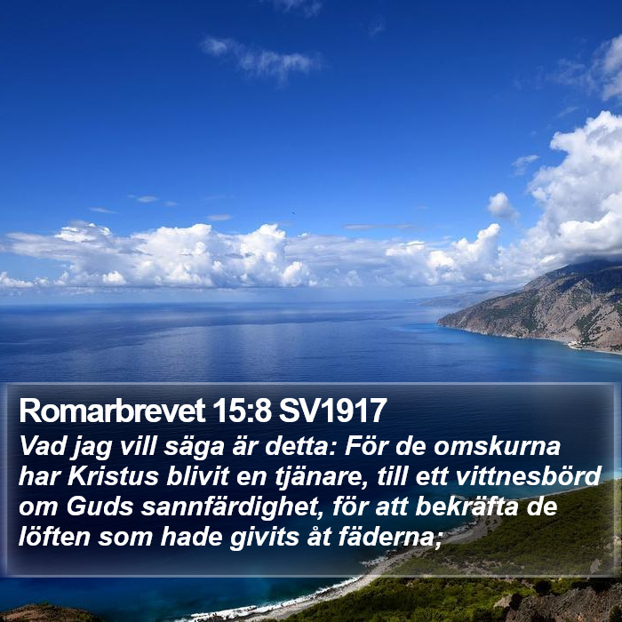 Romarbrevet 15:8 SV1917 Bible Study