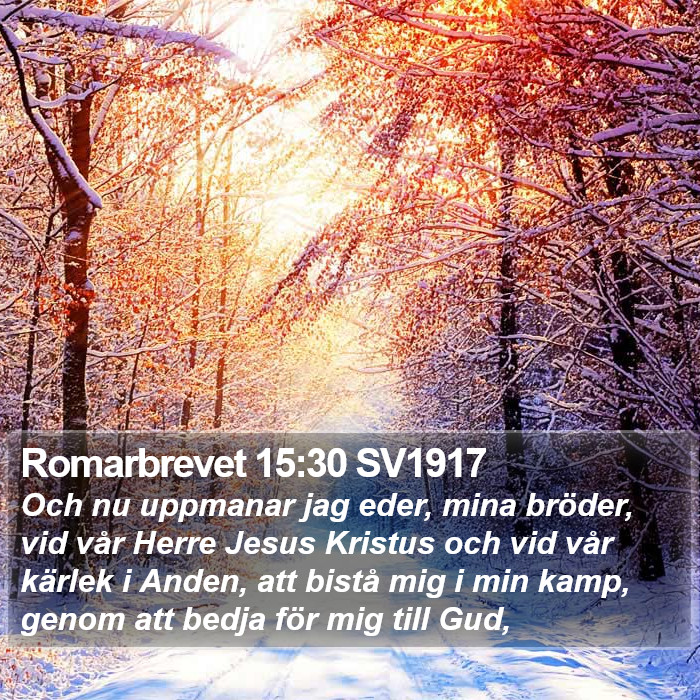 Romarbrevet 15:30 SV1917 Bible Study