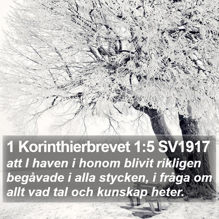 1 Korinthierbrevet 1:5 SV1917 Bible Study