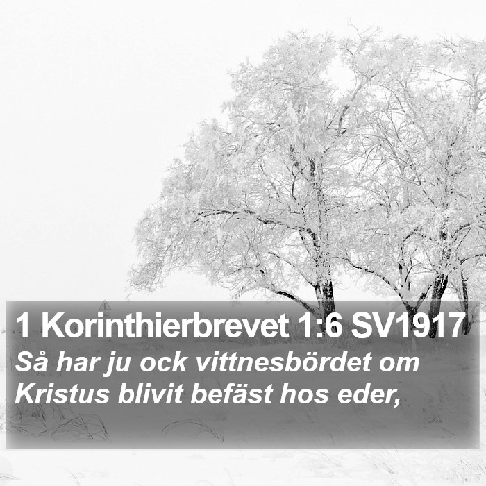 1 Korinthierbrevet 1:6 SV1917 Bible Study