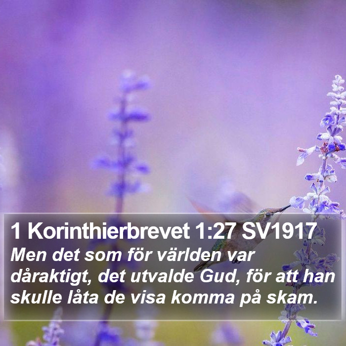 1 Korinthierbrevet 1:27 SV1917 Bible Study