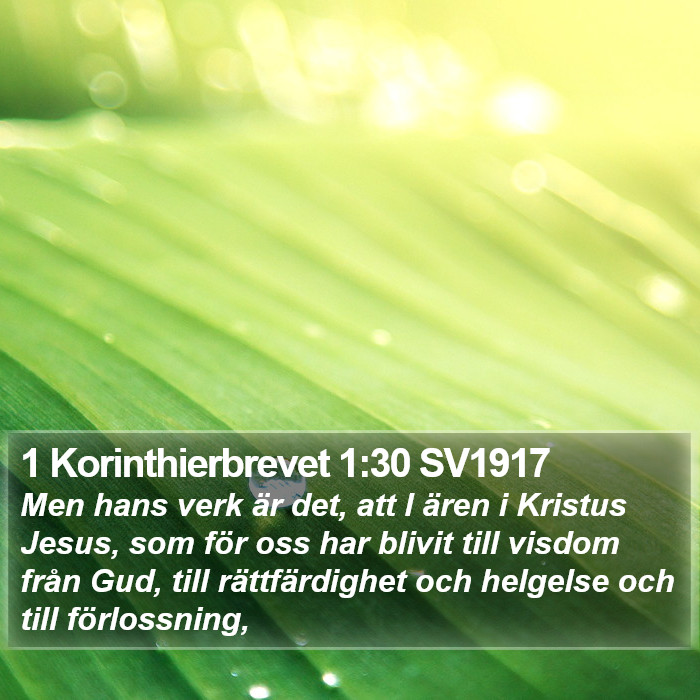 1 Korinthierbrevet 1:30 SV1917 Bible Study