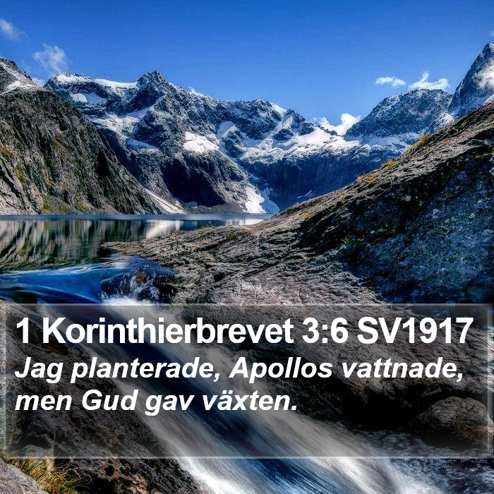 1 Korinthierbrevet 3:6 SV1917 Bible Study