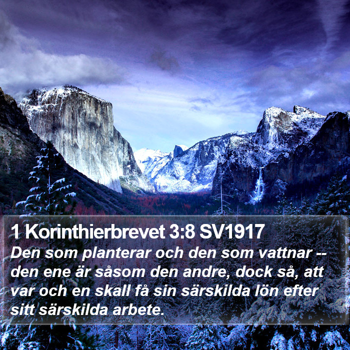1 Korinthierbrevet 3:8 SV1917 Bible Study