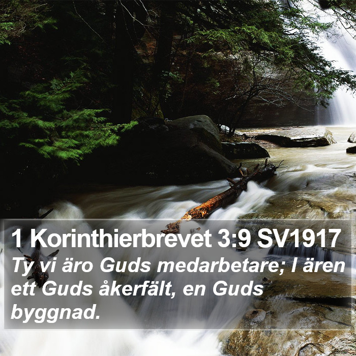1 Korinthierbrevet 3:9 SV1917 Bible Study