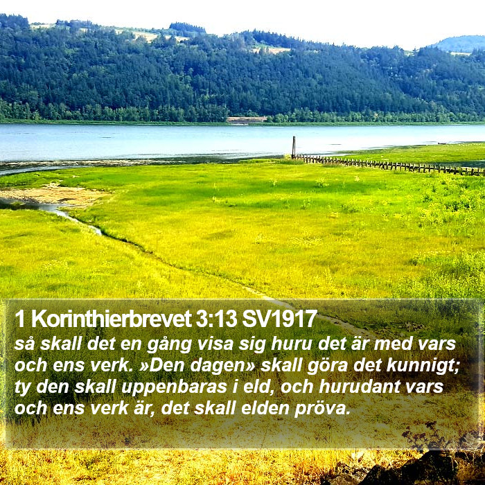 1 Korinthierbrevet 3:13 SV1917 Bible Study