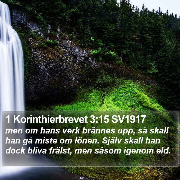 1 Korinthierbrevet 3:15 SV1917 Bible Study
