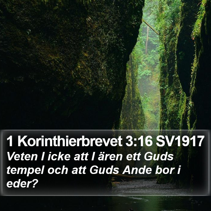 1 Korinthierbrevet 3:16 SV1917 Bible Study
