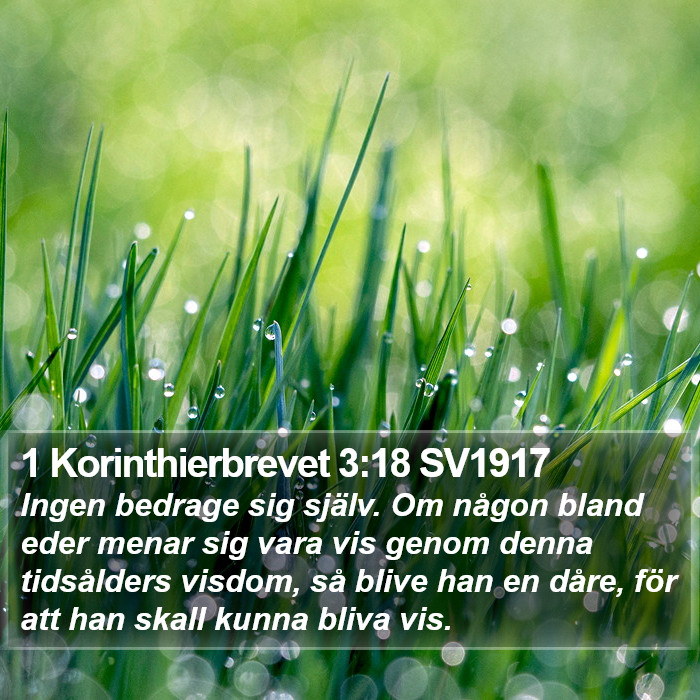 1 Korinthierbrevet 3:18 SV1917 Bible Study