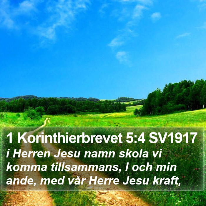 1 Korinthierbrevet 5:4 SV1917 Bible Study