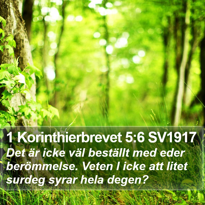 1 Korinthierbrevet 5:6 SV1917 Bible Study