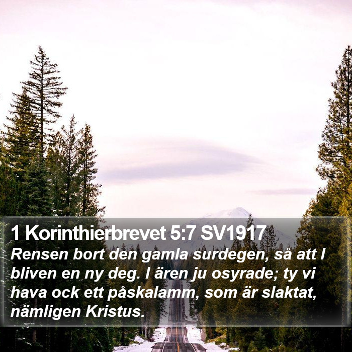 1 Korinthierbrevet 5:7 SV1917 Bible Study