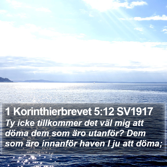 1 Korinthierbrevet 5:12 SV1917 Bible Study