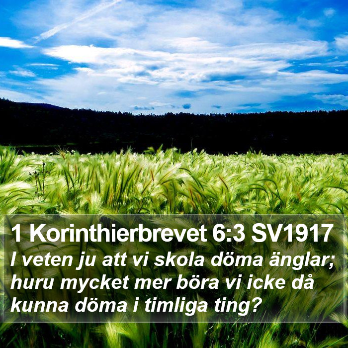 1 Korinthierbrevet 6:3 SV1917 Bible Study