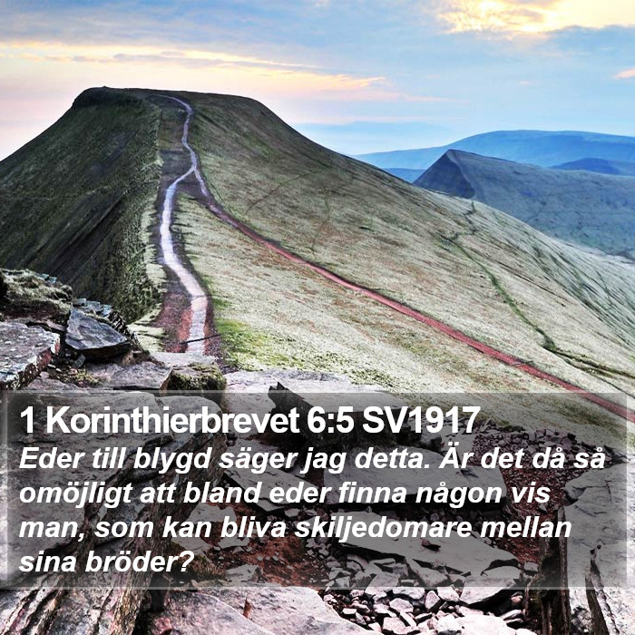 1 Korinthierbrevet 6:5 SV1917 Bible Study