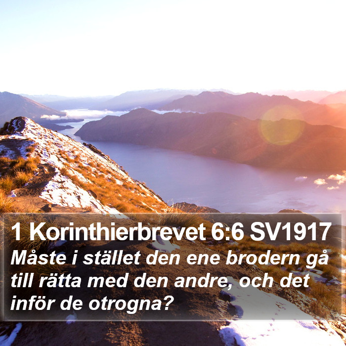 1 Korinthierbrevet 6:6 SV1917 Bible Study