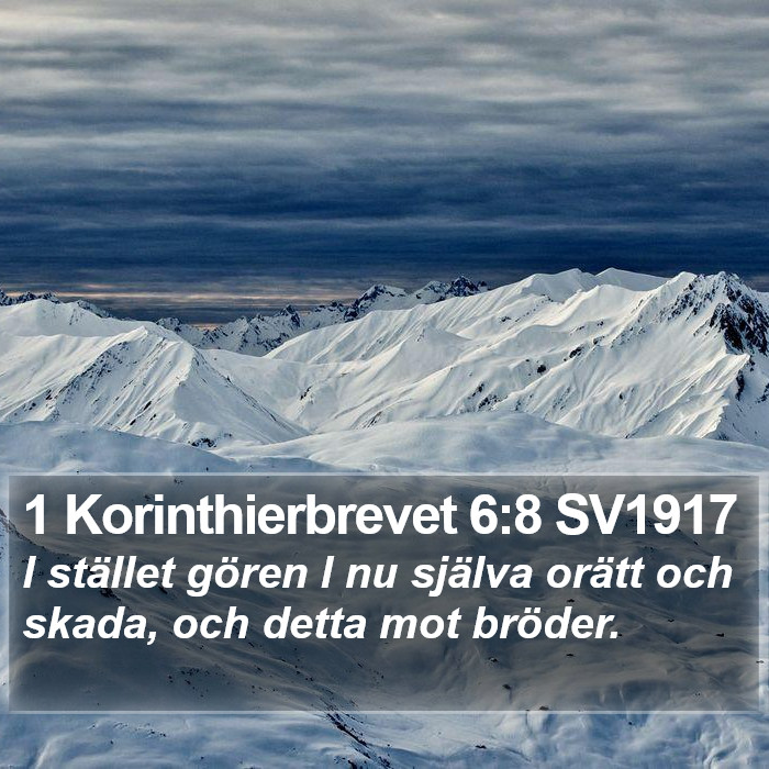 1 Korinthierbrevet 6:8 SV1917 Bible Study