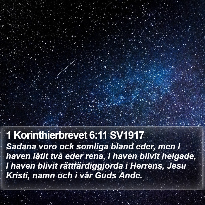 1 Korinthierbrevet 6:11 SV1917 Bible Study