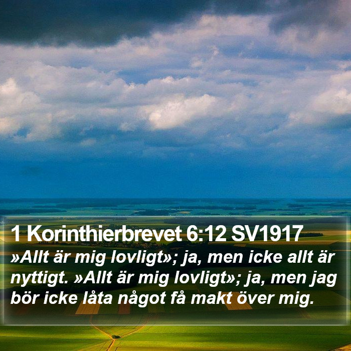1 Korinthierbrevet 6:12 SV1917 Bible Study