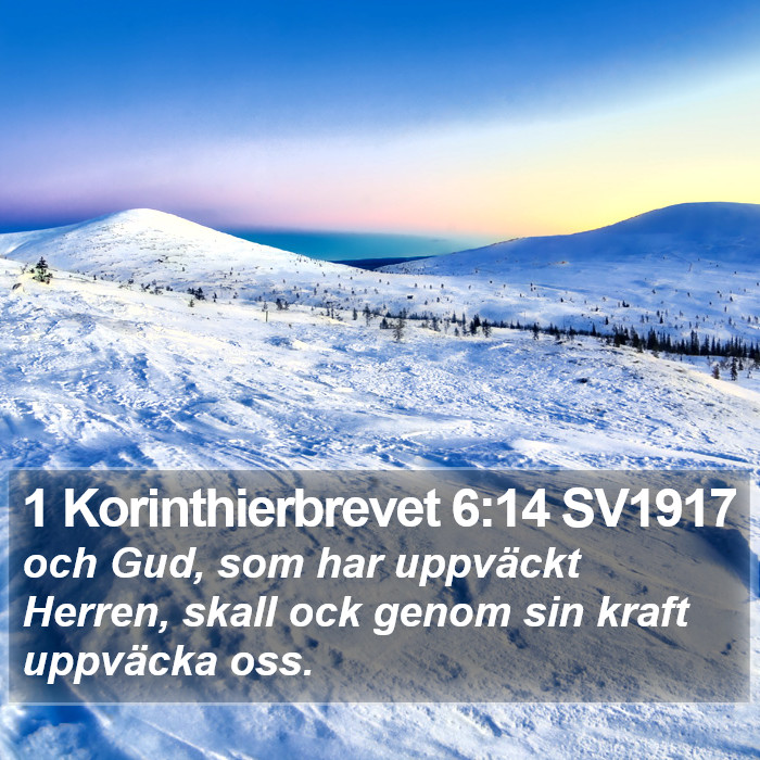 1 Korinthierbrevet 6:14 SV1917 Bible Study