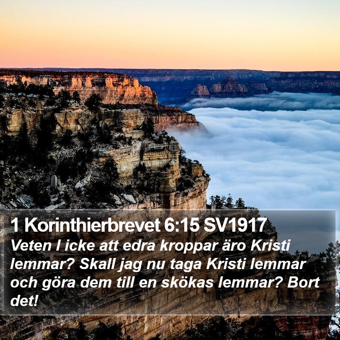 1 Korinthierbrevet 6:15 SV1917 Bible Study