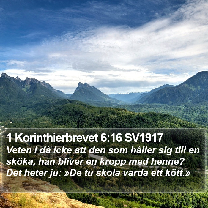 1 Korinthierbrevet 6:16 SV1917 Bible Study