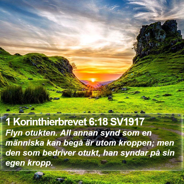 1 Korinthierbrevet 6:18 SV1917 Bible Study