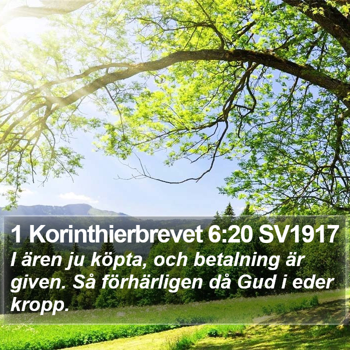 1 Korinthierbrevet 6:20 SV1917 Bible Study