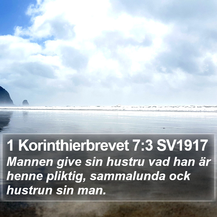 1 Korinthierbrevet 7:3 SV1917 Bible Study