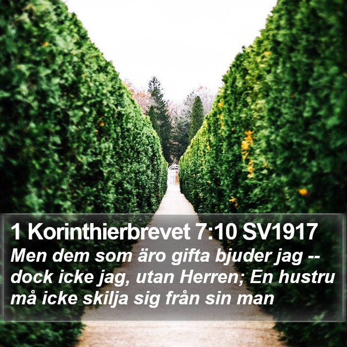 1 Korinthierbrevet 7:10 SV1917 Bible Study