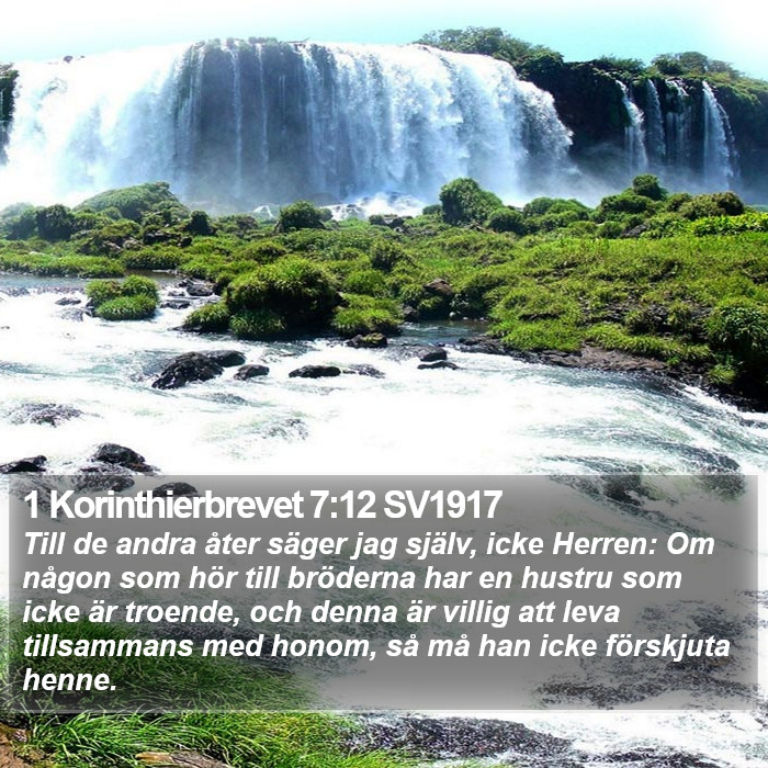 1 Korinthierbrevet 7:12 SV1917 Bible Study