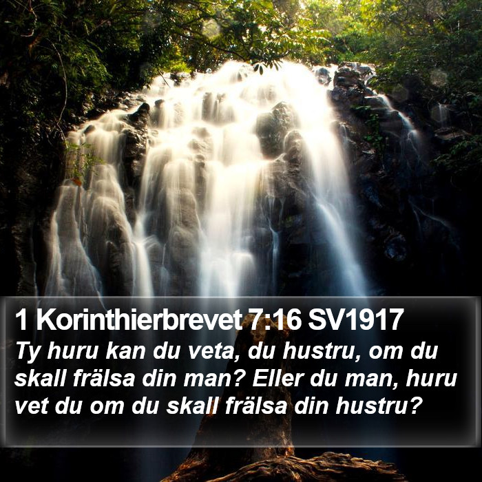 1 Korinthierbrevet 7:16 SV1917 Bible Study