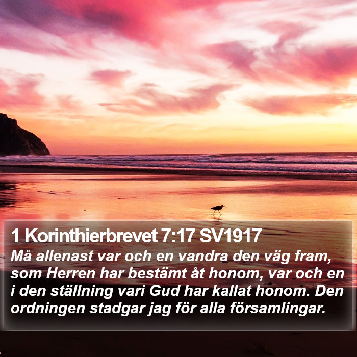 1 Korinthierbrevet 7:17 SV1917 Bible Study