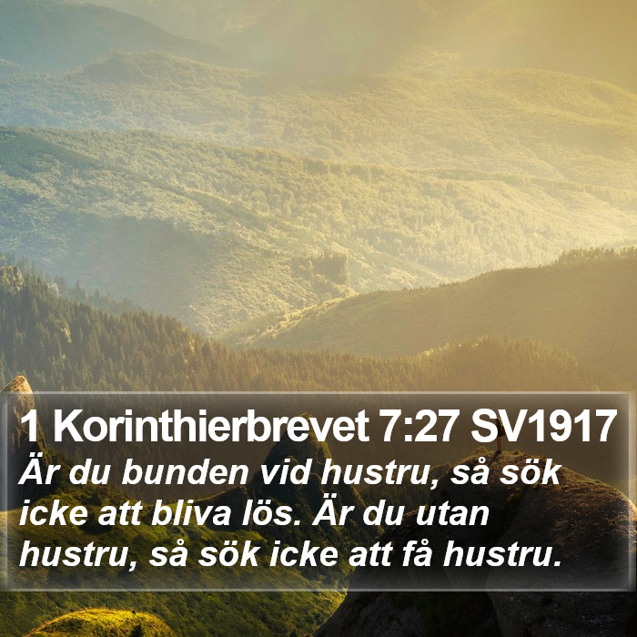 1 Korinthierbrevet 7:27 SV1917 Bible Study