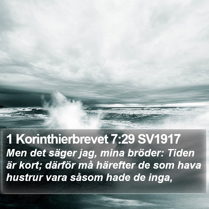 1 Korinthierbrevet 7:29 SV1917 Bible Study