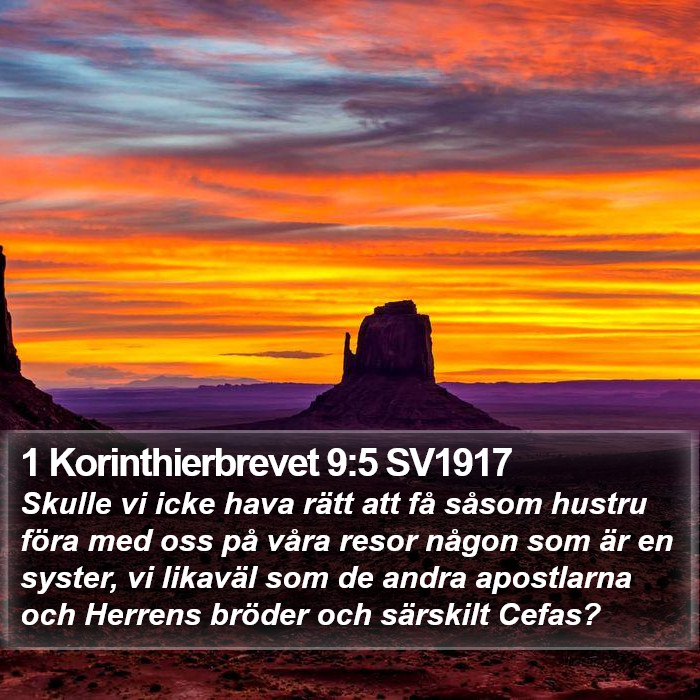 1 Korinthierbrevet 9:5 SV1917 Bible Study