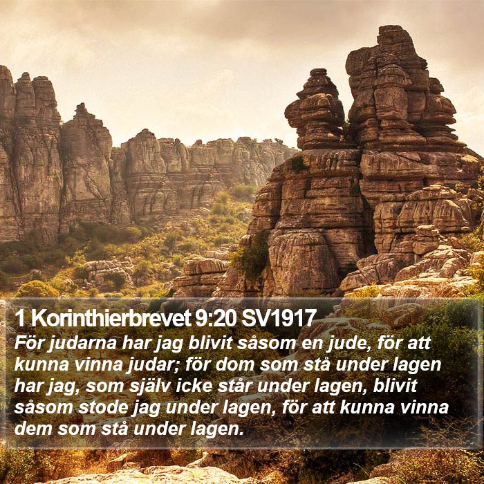 1 Korinthierbrevet 9:20 SV1917 Bible Study