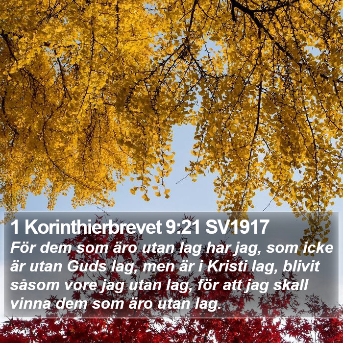 1 Korinthierbrevet 9:21 SV1917 Bible Study