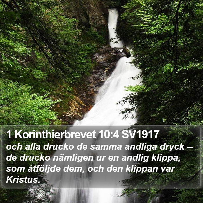 1 Korinthierbrevet 10:4 SV1917 Bible Study
