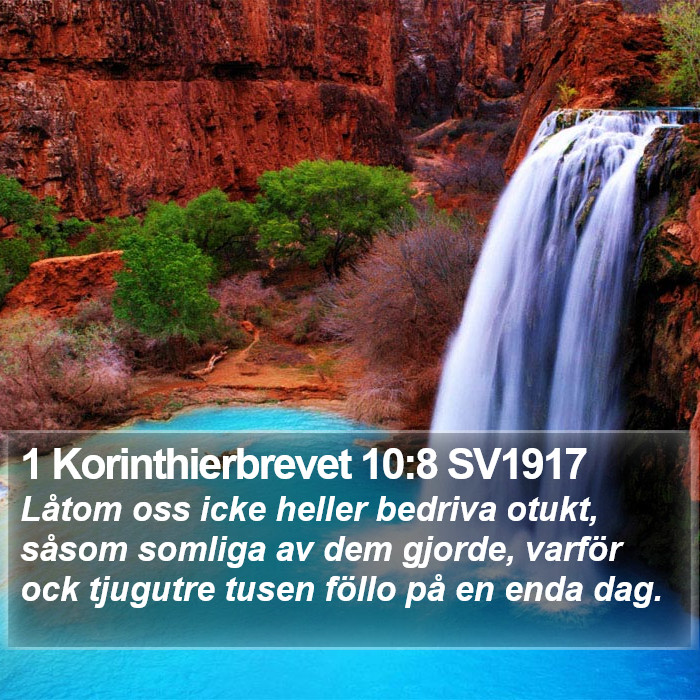 1 Korinthierbrevet 10:8 SV1917 Bible Study