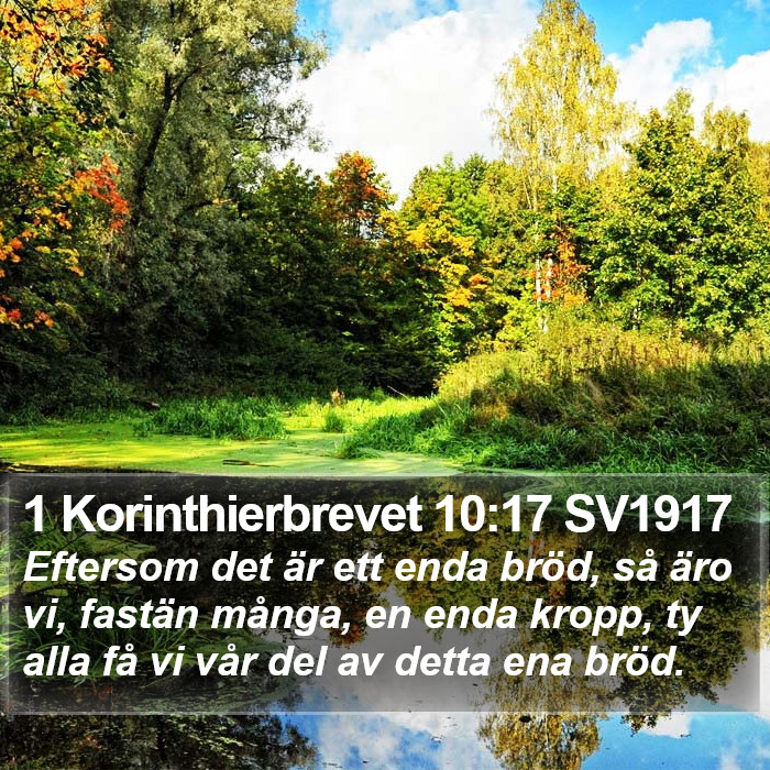 1 Korinthierbrevet 10:17 SV1917 Bible Study