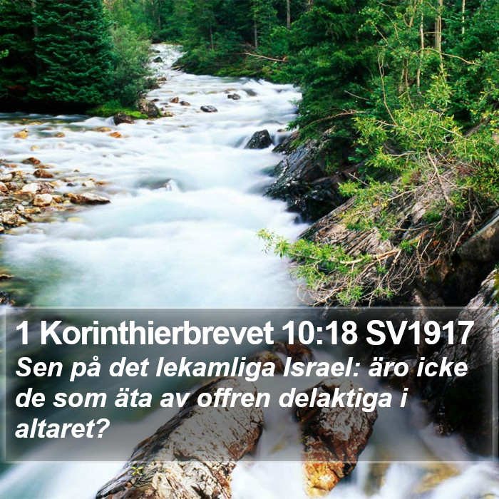 1 Korinthierbrevet 10:18 SV1917 Bible Study