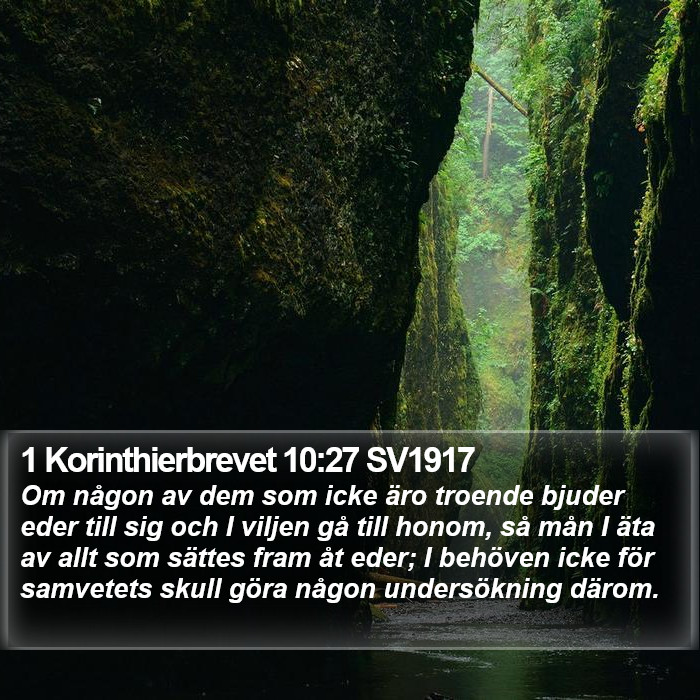 1 Korinthierbrevet 10:27 SV1917 Bible Study