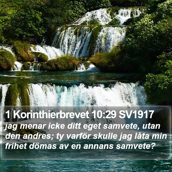 1 Korinthierbrevet 10:29 SV1917 Bible Study