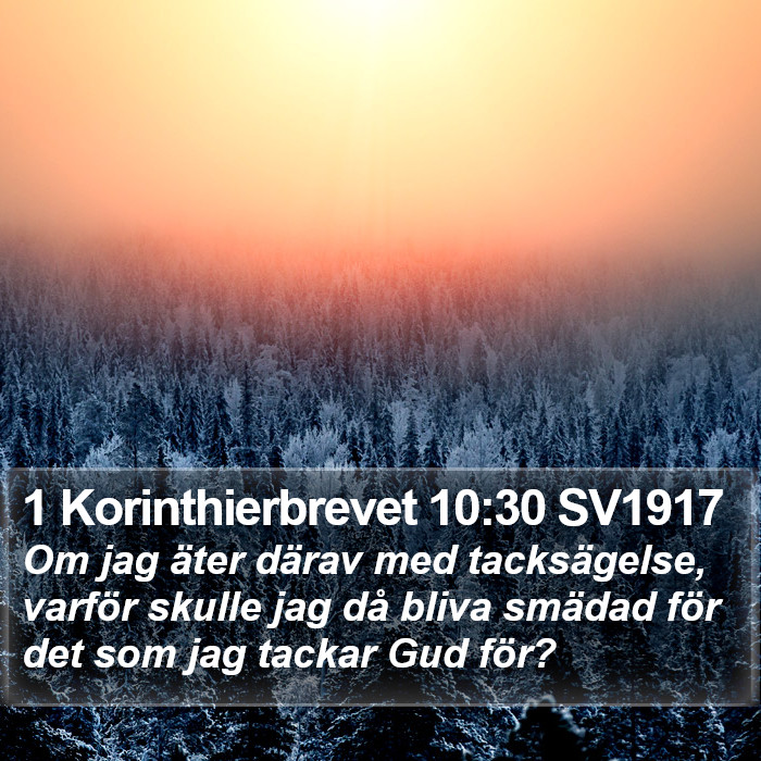1 Korinthierbrevet 10:30 SV1917 Bible Study