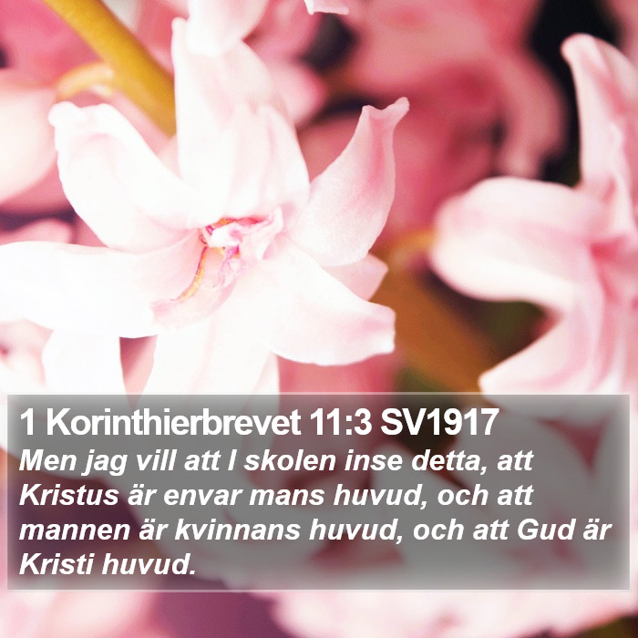 1 Korinthierbrevet 11:3 SV1917 Bible Study